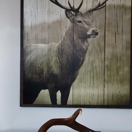 Penthouse Great View Daire *