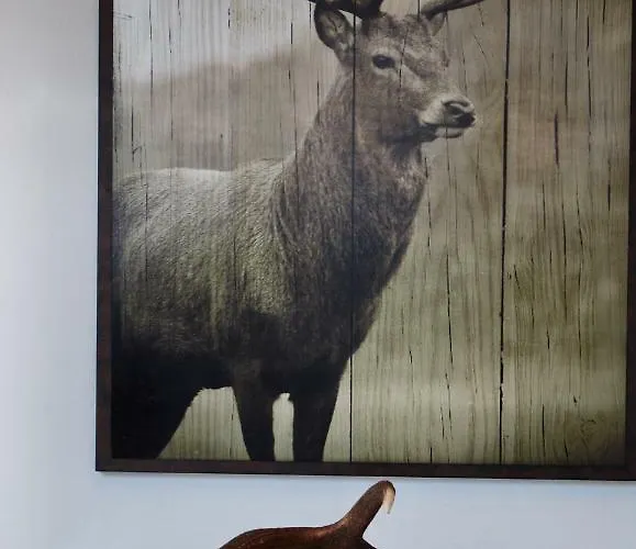 Penthouse Great View アパート *